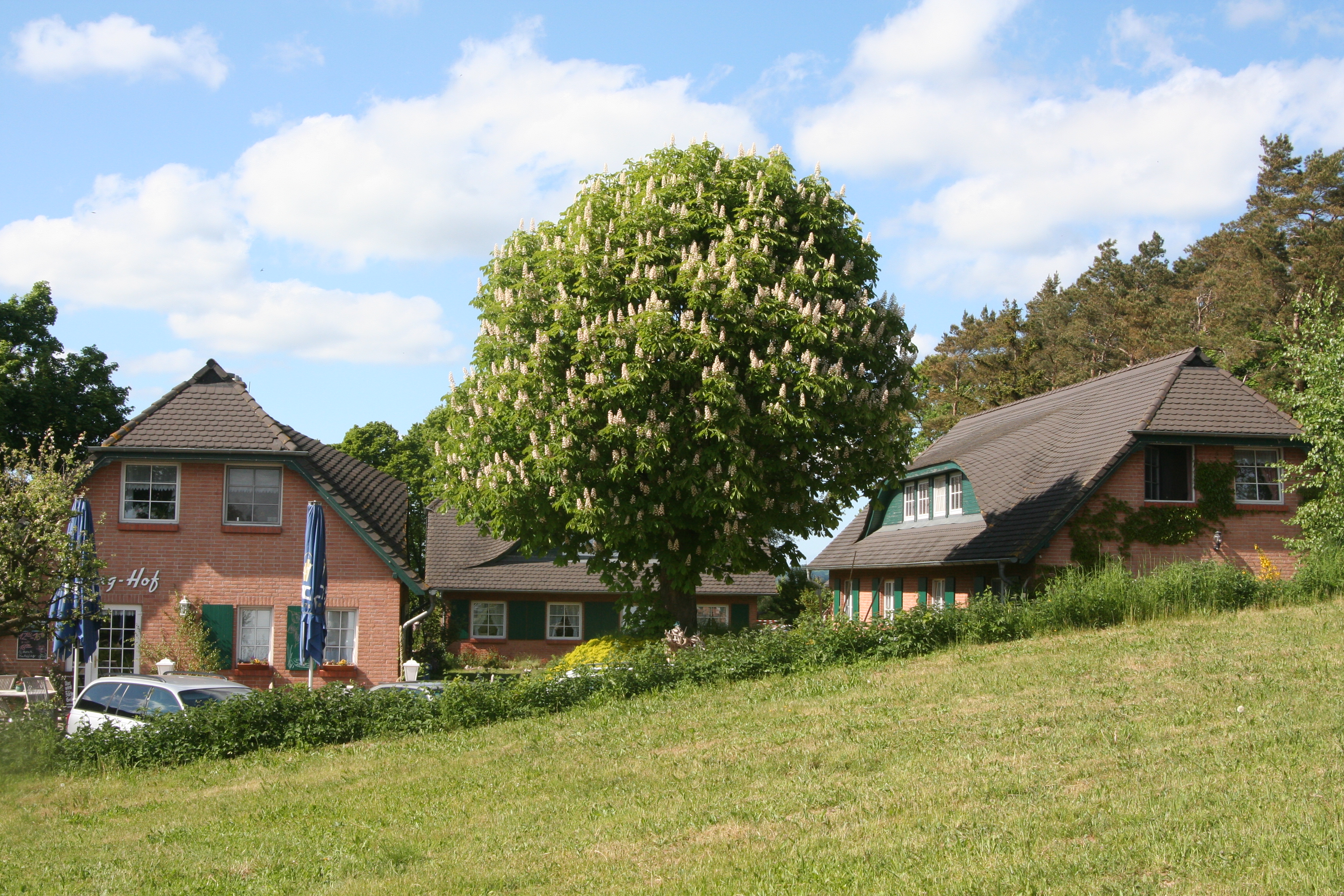 Gaststube "Having-Hof"
