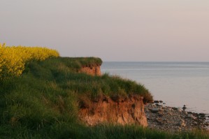 Frühling am Höft Frühling am Höft