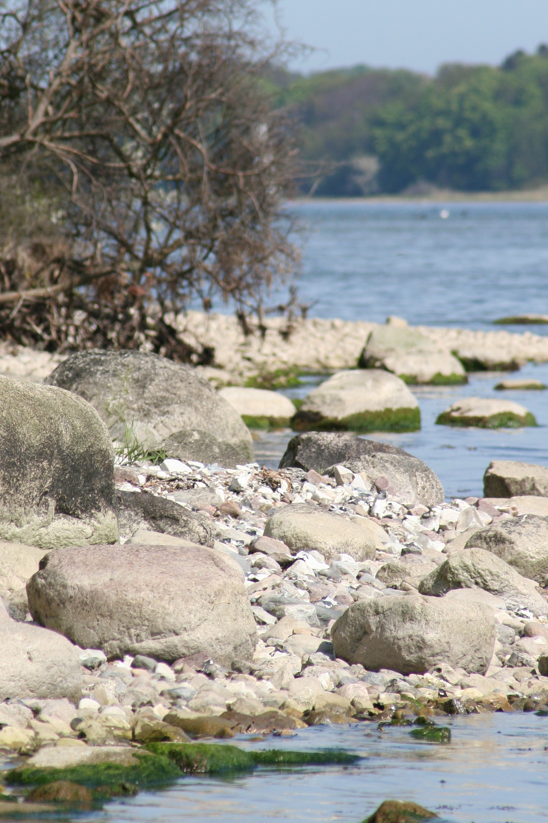 Am "Schlangenloch" Am "Schlangenloch"